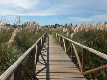 ESTUARIO DEL RO GUADIARO