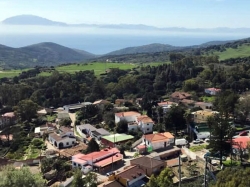 PELAYO